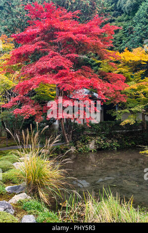 Le complexe du temple Nanzen-ji, Kyoto, Japon. Feuillage automne coloré dans les jardins du temple zen Nanzen-in Banque D'Images