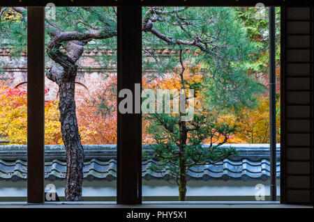 Le complexe du temple Nanzen-ji, Kyoto, Japon. Feuillage automne coloré dans les jardins du temple zen Nanzen-in Banque D'Images