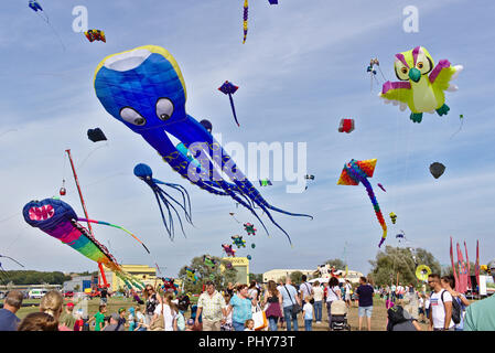 L'Allemagne, de Lemwerder - 18 août 2018 - grand cerf-volant bleu en forme de pieuvre géante qui vole à l'Kite Festival Lemwerder Banque D'Images