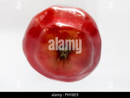 Une pomme rouge sur une étagère dans un réfrigérateur. Une pomme fraîche dans un réfrigérateur. Fruits est un refroidissement dans le stockage. Banque D'Images