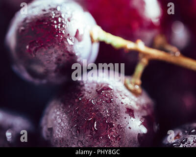 Extreme close up view de raisins rouges bien mûrs avec des gouttes d'eau. Beau gros plan de raisin biologique avec copie espace pour le texte. Banque D'Images