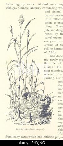 Libre à partir de la page 122 de "Voyages en Afrique au cours des années 1875-1878 (1879-1883-1882-1886) Traduit de l'allemand par A. H. Keane illustré" . Banque D'Images