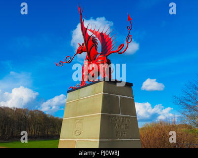 38e (Welsh) Division Memorial Mametz Wood Somme Banque D'Images