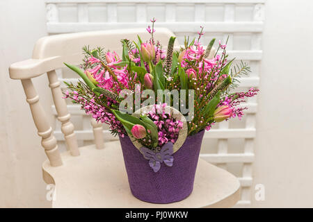 Fleurs rose pourpre en toile vase sur chaise blanche white trellis background Banque D'Images