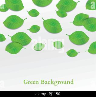 Illustration vecteur de fond vert feuilles Illustration de Vecteur