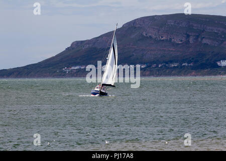 Yacht à voile intégral sur l'estuaire de Conwy dans le Nord du Pays de Galles avec le grand orme pointe à l'arrière-plan Banque D'Images