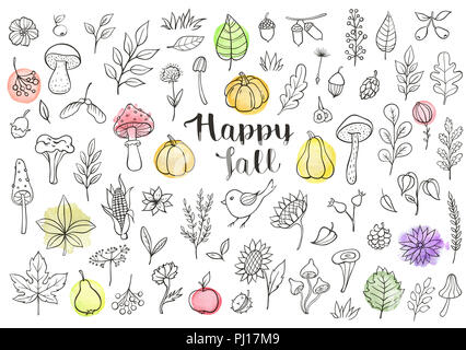 Des éléments de conception l'automne doodle. Fleurs à la main, les feuilles, les champignons et les citrouilles sur un fond blanc Banque D'Images