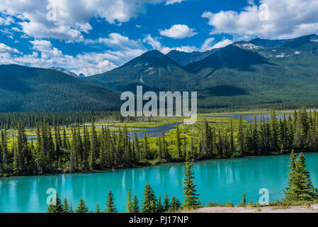 Photo des eaux turquoise du glacier Peyto Lake. Banque D'Images