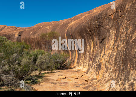 Dans Elachbutting Rock Wave Hill, WA, Australie Banque D'Images