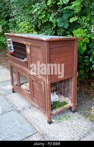 Lapin (Oryctolagus domestiqués) dans un clapier à deux niveaux, Angleterre, Royaume-Uni. Banque D'Images