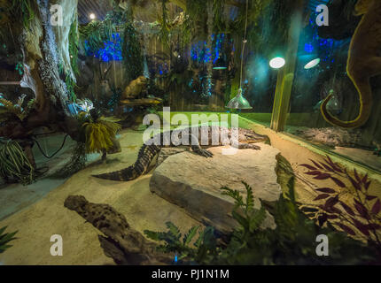 Le camp de pêche de Clarks est un restaurant de fruits de mer unique et rustique situé sur Julington Creek, un affluent de la rivière Saint-Jean à Jacksonville, en Floride. Banque D'Images