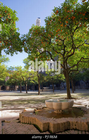 Fontaine dans le Patio de los Naranjos, ou Orange Tree Courtyard, partie de la Cathédrale de Séville Séville, complexe, Andalousie, Espagne Banque D'Images