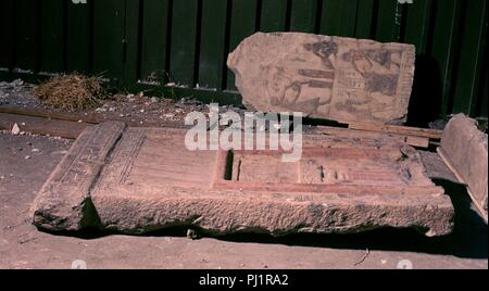 Ceux de l'ARA. Lieu : Musée égyptien, le CAIRE, ÉGYPTE. Banque D'Images