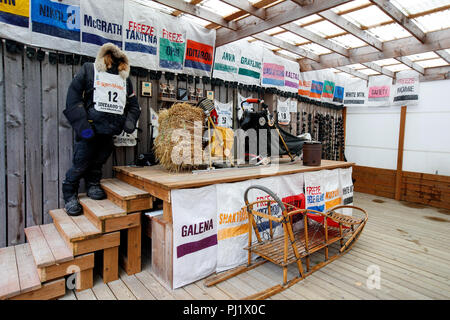 Ititarod Sled Dog et mushing affichage, Dredge Ville, Skagway, Alaska, États-Unis d'Amérique Banque D'Images