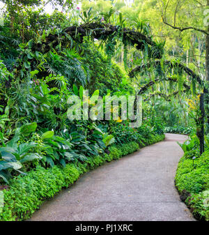 Singapour - 12 juillet 2018 : National Orchid Garden at Singapore Botanic Gardens Banque D'Images