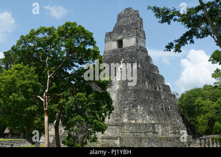 Les ruines mayas de Tikal, Guatemala, avec Temple 1 Banque D'Images