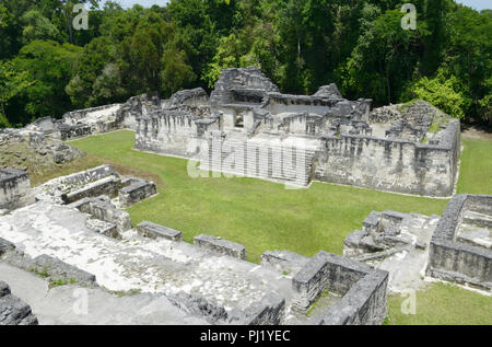 Tikal, acropole centrale Banque D'Images