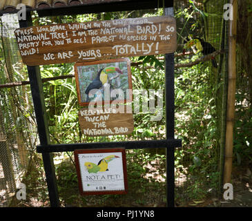 Zoo de Belize, boîtier toucan Banque D'Images