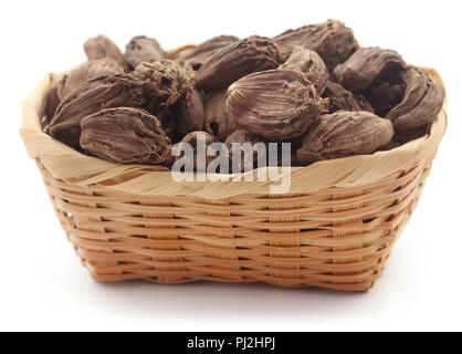 Cardamome noire dans un panier sur fond blanc Banque D'Images