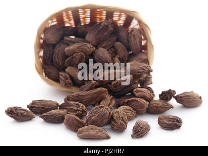 Cardamome noire dans un panier sur fond blanc Banque D'Images