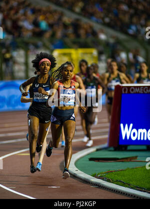 Bruxelles - Belgique, 31 AOÛT 18. Gudaf Tsegay de l'Éthiopie et Sifan Hassan des Pays-Bas qui se font concurrence sur les 1500m de la femme à l'IAAF Diamond League Banque D'Images