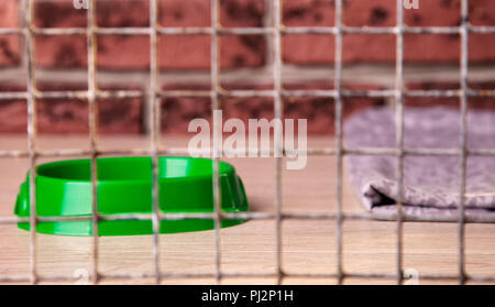 Un chat gris dans une cage mange un bol de nourriture sèche Banque D'Images