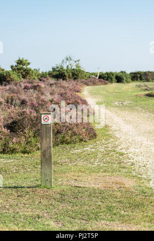 Pas de vélo fingerpost en face de Heather arbustes à côté d'une piste de gravier dans la New Forest, Royaume-Uni. Banque D'Images