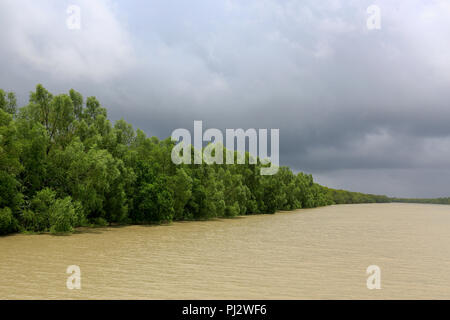 Vue de la forêt de mangroves des Sundarbans à marée haute. Le Bangladesh Banque D'Images