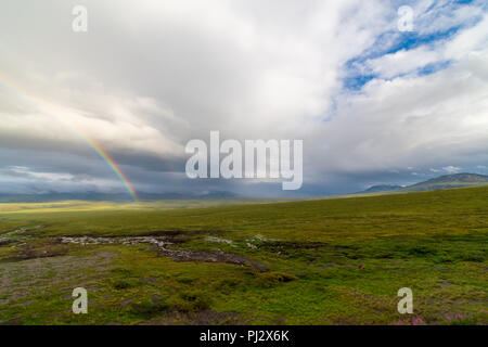 Un magnifique arc-en-ciel arctique Toundra sur les Territoires du Nord-Ouest Banque D'Images