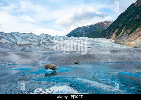 Tour en hélicoptère des glaciers - Juneau Alaska - excursion de croisière sur l'atterrissage sur Juneau icefield Glacier Gilkey - bleu de fonte des glaciers Banque D'Images