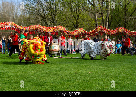BERLIN - 15 avril 2018 : Jour de floraison Sakura. Parc 'Jardins du Monde' (Gaerten der Welt). Danse du dragon. L'art traditionnel chinois. Banque D'Images