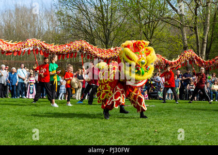 BERLIN - 15 avril 2018 : Jour de floraison Sakura. Parc 'Jardins du Monde' (Gaerten der Welt). Danse du dragon. L'art traditionnel chinois. Banque D'Images