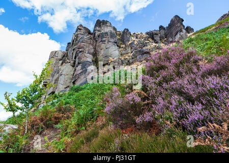 Des pierres sur les blattes, parc national de Peak District, vue sur les collines de pierre et sur le terrain, selective focus Banque D'Images