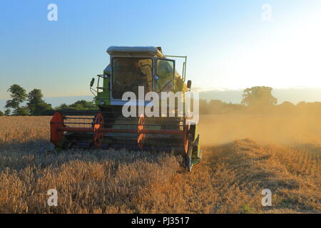 Combiner la récolte du blé sur les terres agricoles champ dans le Somerset Banque D'Images