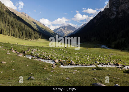 De la vallée Altyn-Arashan en fin d'après-midi avec un ruisseau au premier plan au Kirghizstan Banque D'Images