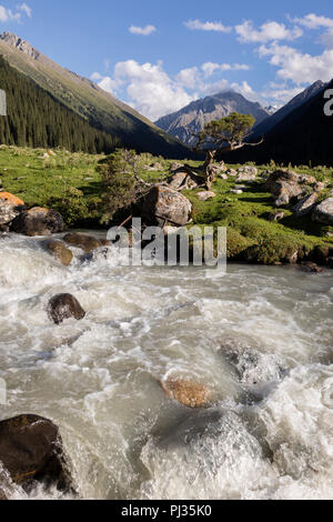 De la vallée Altyn-Arashan en fin d'après-midi avec un ruisseau au premier plan au Kirghizstan Banque D'Images