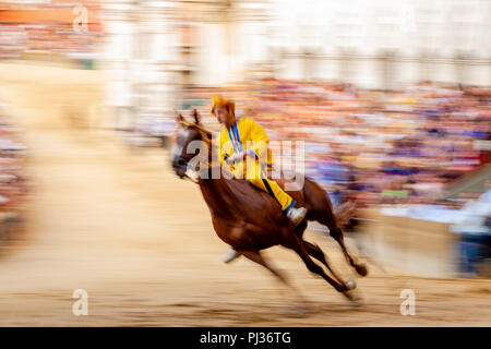 Un jockey à cheval pour l'Aquila (Aigle) via prend part à une course d'essai dans la Piazza del Campo, le Palio di Siena, Sienne, Italie Banque D'Images