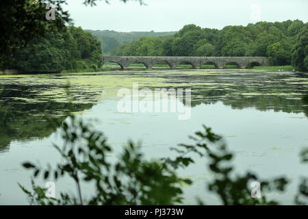 Eight Arch Bridge, Stackpole Estae, Pembrokeshire, Royaume-Uni Banque D'Images