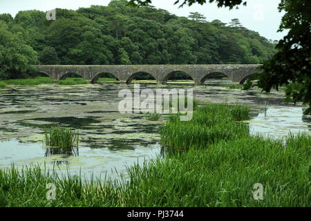 Eight Arch Bridge, Stackpole Estae, Pembrokeshire, Royaume-Uni Banque D'Images