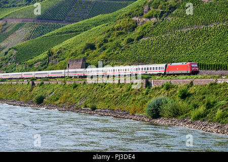 Tiré par train de voyageurs 101 locomotive électrique DB classe le long du Rhin en direction de Spay, en face, Osterpai avec vignobles dans l'arrière-plan Banque D'Images