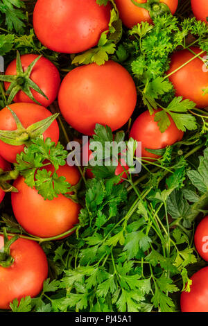 Photo prise à la verticale de beaucoup de tomates mûres avec le persil, l'arrière-plan de légumes Banque D'Images