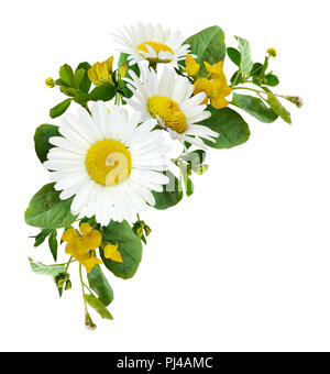 Daisy fleurs et herbes sauvages dans un coin d'été arrangement isolé sur fond blanc. Mise à plat. Vue d'en haut. Banque D'Images