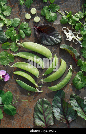 Les jeunes gousses vertes et fleurs de pois, mangold, persil, coriandre sur fer backgrownd. Banque D'Images
