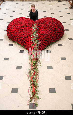 La cathédrale de Winchester employé Catherine Hodgson ressemble à un cœur fait de roses rouges près de l'autel, lors d'un photocall pour la cathédrale de Winchester's fête des fleurs, de l'éclairage : un festival de fleurs, qui se déroule du 5 au 9 septembre. Banque D'Images