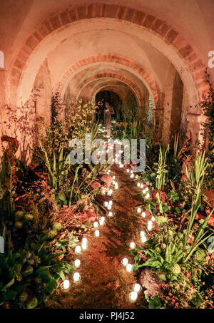 Ligne de fleurs et de bougies d'un itinéraire vers la statue 'Sound II' par Antony Gormley dans la crypte de la cathédrale de Winchester que les derniers préparatifs sont faits pour s'affiche pour leur fête des fleurs, de l'éclairage : un festival de fleurs, qui se déroule du 5 au 9 septembre. Banque D'Images