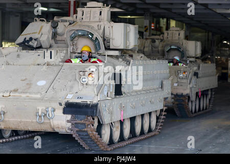 Employés avec le terminal à conteneurs en eaux profondes en attente pour dur M3 Bradley calvaire des véhicules de combat au large de la liberté d'Orgueil, un porte-conteneurs, pour le 2e Escadron, 278e régiment de cavalerie blindée, une unité de la Garde nationale basée à Knoxville, Tennessee, dans le port de Gdansk, Pologne, le 28 août. La Pologne est l'un des quatre nations-cadre de l'OTAN pour l'amélioration de l'avant, la présence de l'Atlantique, une opération de résoudre la mission de formation de neuf mois pour réserver, Garde nationale et les unités de service actif avec les partenaires de l'OTAN dans l'engagement pour la paix, la sécurité et la stabilité en Europe. Banque D'Images