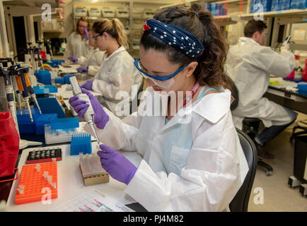 Le système de santé des Forces armées de l'examinateur de la force armée l'identification génétique de l'ADN, les analystes de laboratoire les échantillons dans cartouches avant de le charger dans la prochaine génération d'instruments de séquençage de l'ADN 24 août 2018. En 2016, AFMES-AFDIL développé et validé sur le séquençage de l'ADN mitochondrial de la prochaine génération, ce qui a permis de la méthode les résultats de séquençage de l'ADN d'être obtenu pour la première fois de chimiquement endommagés des échantillons. À ce jour, AFMES-AFDIL a traité plus de 800 échantillons à l'aide de cette nouvelle méthode, qui a appuyé plus de 60 nouvelles identifications en deux ans depuis sa validation. (U.S. Photo de l'Armée de l'air Banque D'Images