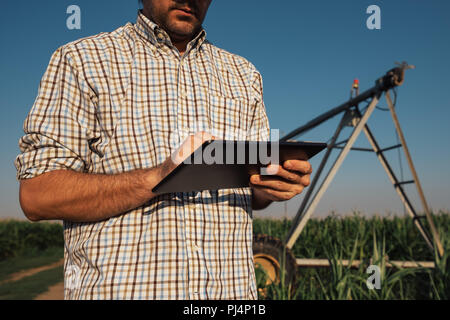 L'agriculteur concerné grave using tablet computer in cornfield avec système d'irrigation hors service pendant chaude journée d'été Banque D'Images