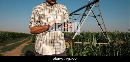 L'agriculteur concerné grave using tablet computer in cornfield avec système d'irrigation hors service pendant chaude journée d'été Banque D'Images