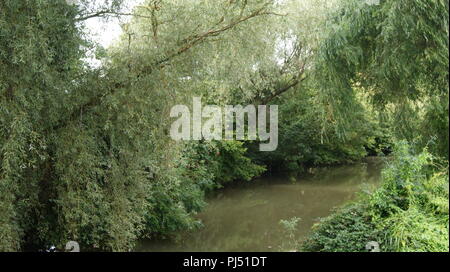 River Leam, Warwickshire Banque D'Images